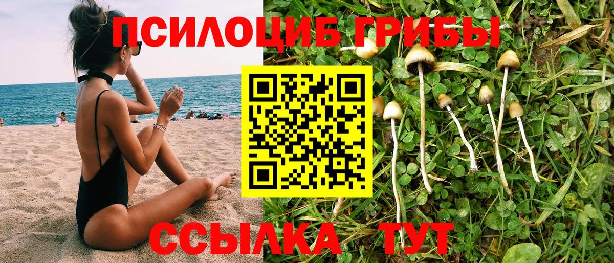 Псилоцибиновые грибы мицелий  Псилоцибиновые грибы ЛСД  Губкин  Вход с VPN 