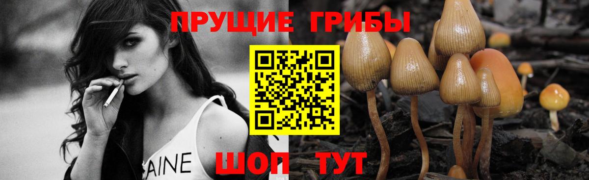 Псилоцибиновые грибы Magic Shrooms Губкин